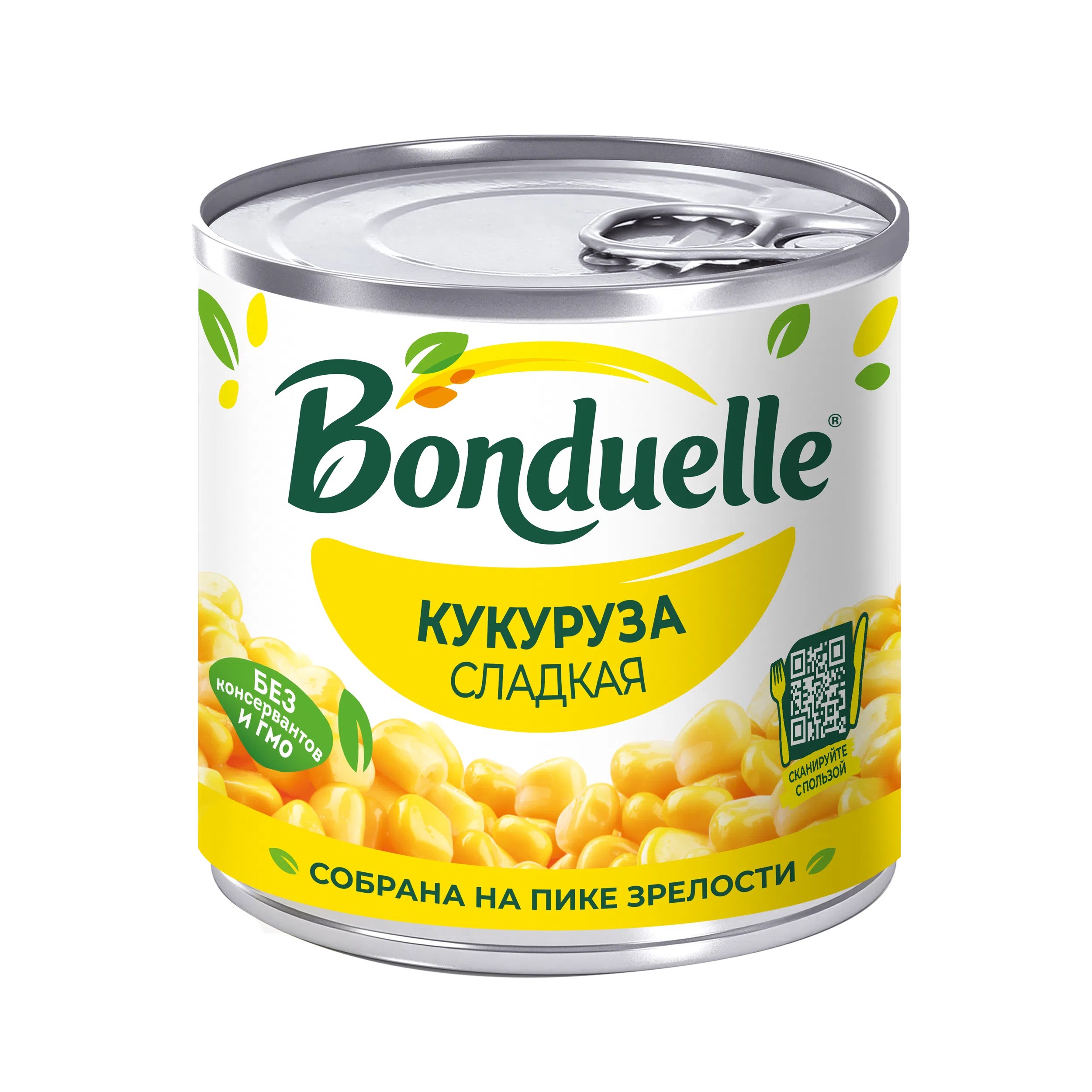 Жас орыс кискалары туралы бейне